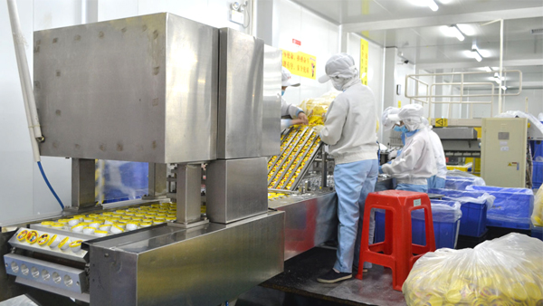 功能性粗粮饼干厂家就选广东盈彩网食品！
